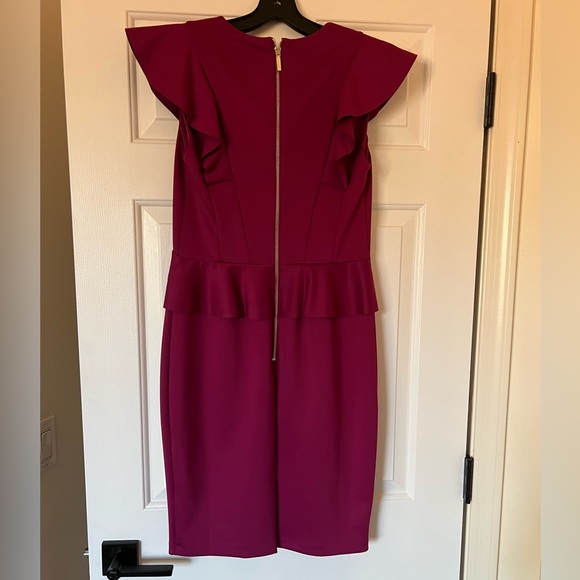 Ted Baker Alair Ruffle Body Dress - Picture 7 of 8